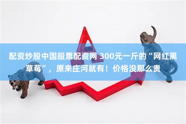 配资炒股中国股票配资网 300元一斤的“网红黑草莓”，原来庄河就有！价格没那么贵