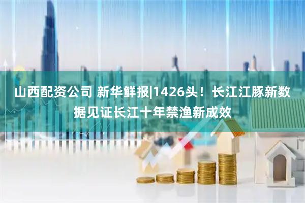 山西配资公司 新华鲜报|1426头！长江江豚新数据见证长江十年禁渔新成效