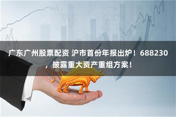 广东广州股票配资 沪市首份年报出炉！688230，披露重大资产重组方案！